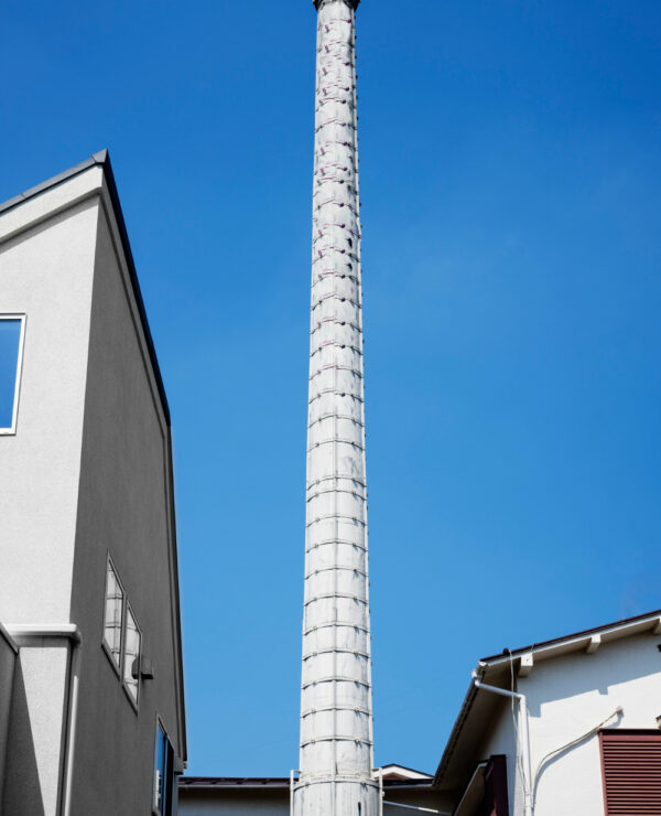 the Rothschild family